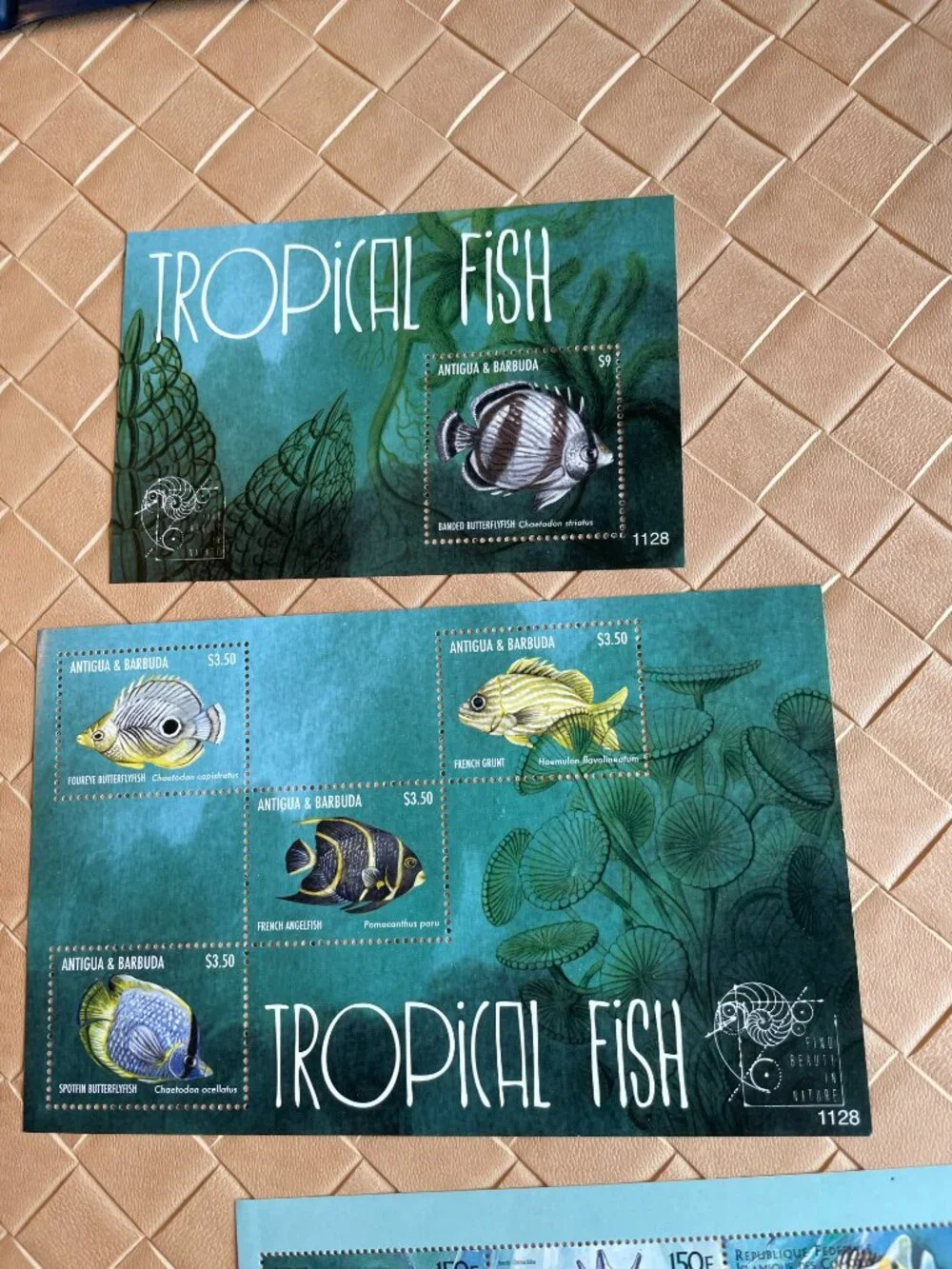 19 Fish Stamps from World Fish Stamp Collection & Binder Mystic Stamp Co. New